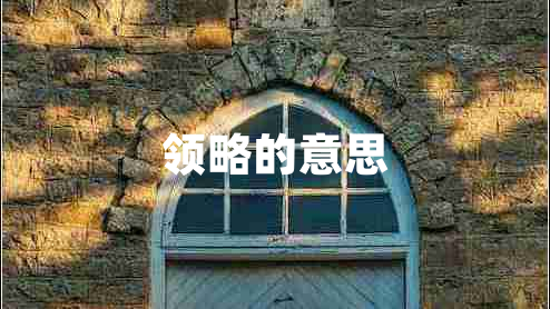 領略的意思