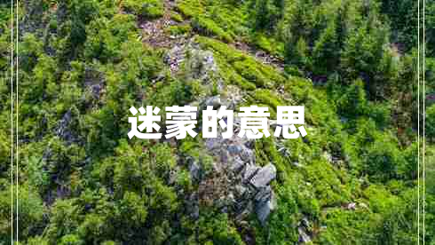 迷蒙的意思