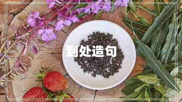 到處造句