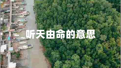 聽(tīng)天由命的意思