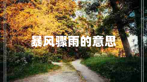 暴風(fēng)驟雨的意思