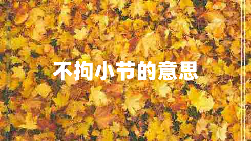 不拘小節的意思
