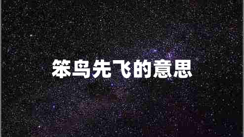笨鳥(niǎo)先飛的意思