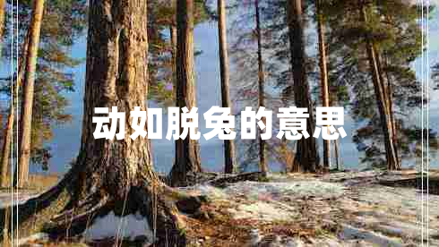 動(dòng)如脫兔的意思