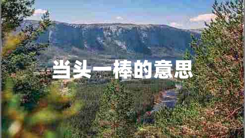 當頭一棒的意思