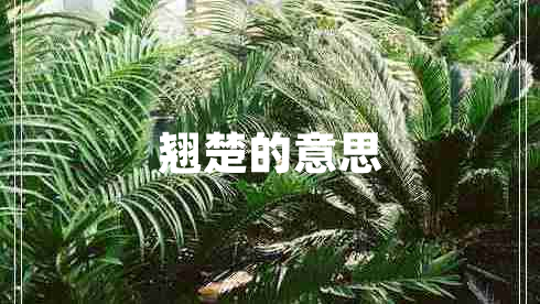 翹楚的意思