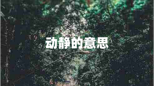 動(dòng)靜的意思