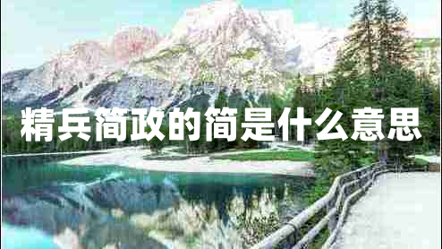 精兵簡政的簡是什么意思