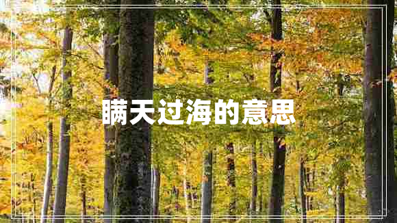 瞞天過(guò)海的意思