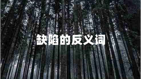 缺陷的反義詞