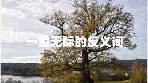 一望無(wú)際的反義詞