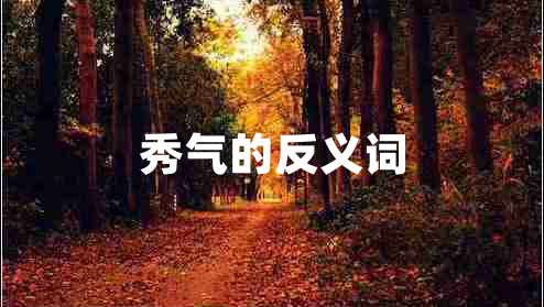 秀氣的反義詞
