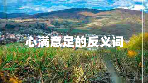 心滿(mǎn)意足的反義詞