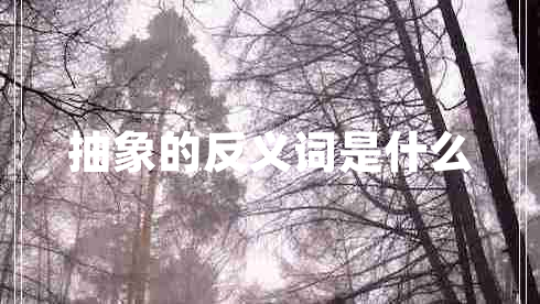 抽象的反義詞是什么