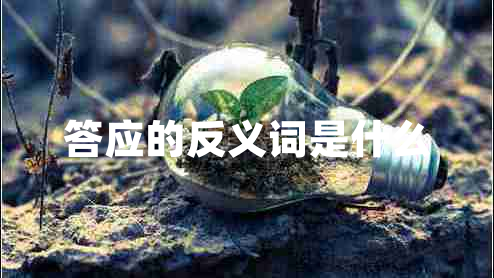 答應的反義詞是什么