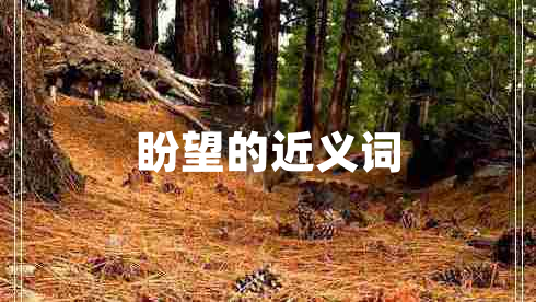 盼望的近義詞