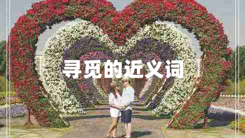 尋覓的近義詞