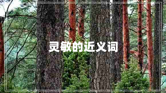靈敏的近義詞
