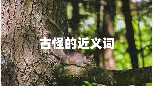 古怪的近義詞