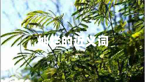燦爛的近義詞