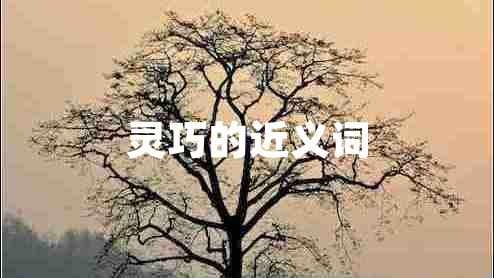 靈巧的近義詞