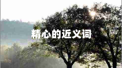 精心的近義詞