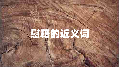 慰藉的近義詞