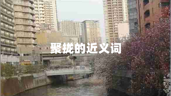 聚攏的近義詞