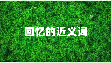 回憶的近義詞