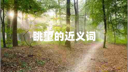 眺望的近義詞