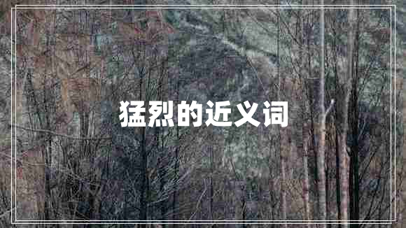猛烈的近義詞