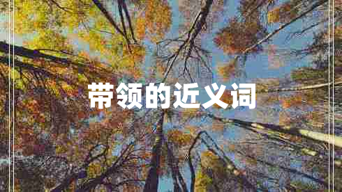 帶領(lǐng)的近義詞