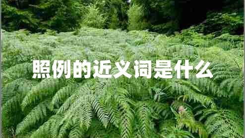 照例的近義詞是什么