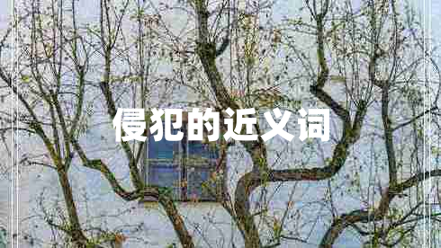 侵犯的近義詞