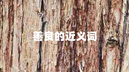 善良的近義詞