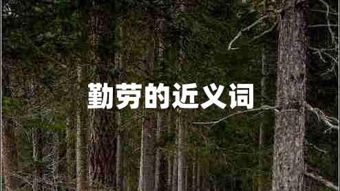 勤勞的近義詞