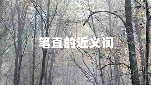 筆直的近義詞