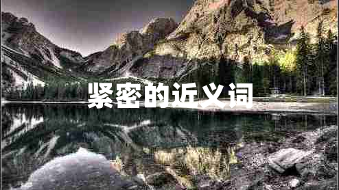 緊密的近義詞