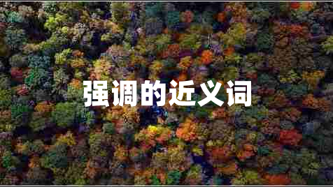 強調(diào)的近義詞