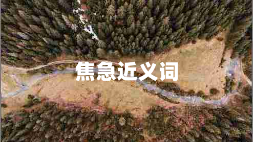焦急近義詞