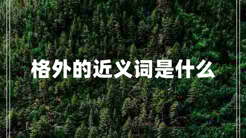 格外的近義詞是什么