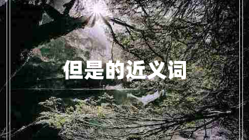 但是的近義詞