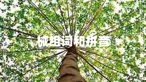 械組詞和拼音