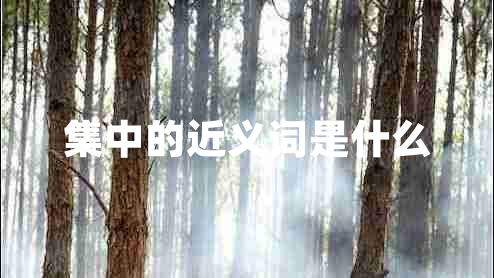 集中的近義詞是什么