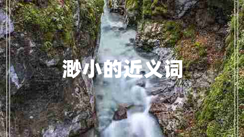 渺小的近義詞