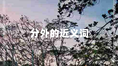分外的近義詞