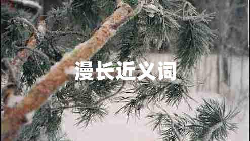 漫長近義詞