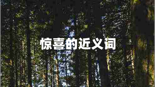 驚喜的近義詞