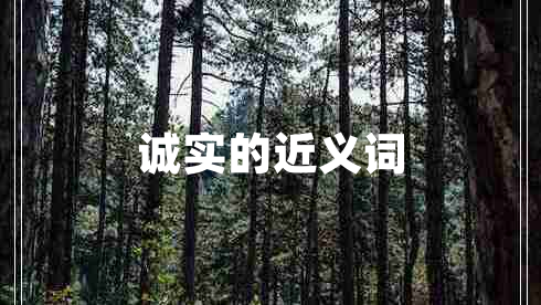誠實的近義詞
