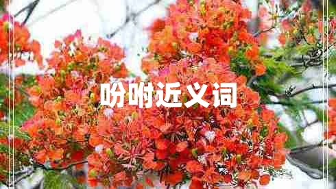 吩咐近義詞